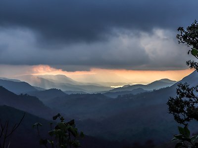 Nature